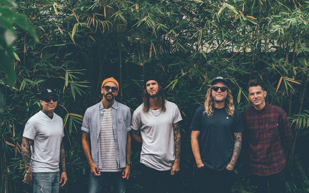 Dirty Heads im Interview