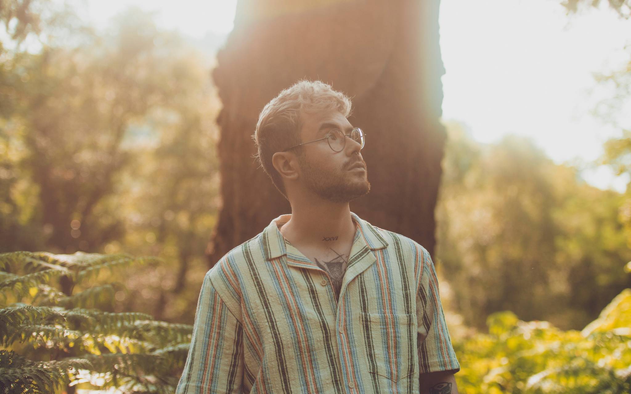 Robert Grace – Not OK